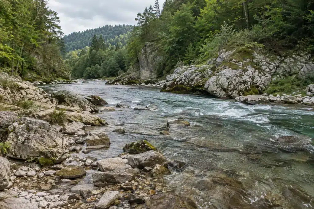Białka River flowing between limestone rocks and woodland