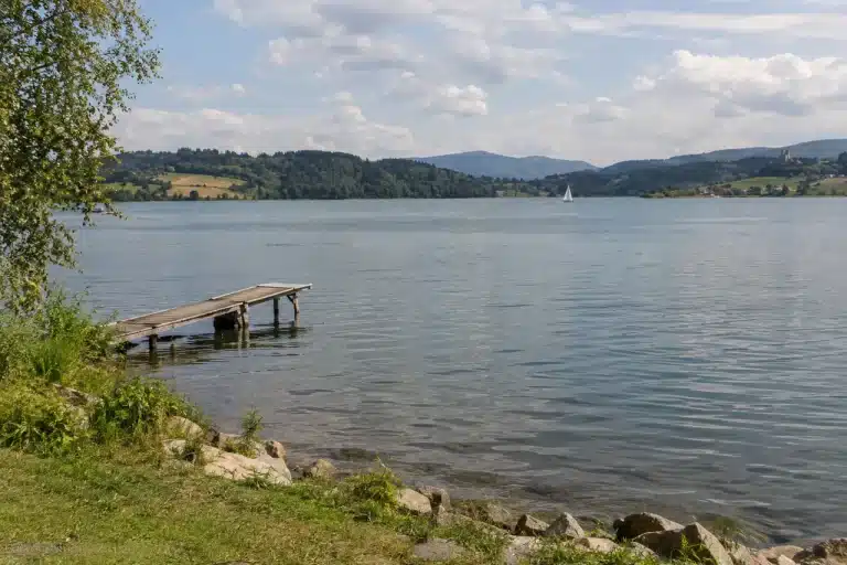 Jezioro Czorsztyńskie oglądane z trawiastego brzegu
