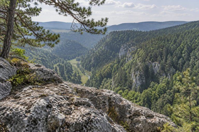 Wapienna skała i leśna dolina — ilustracja krajobrazu Słowackiego Raju