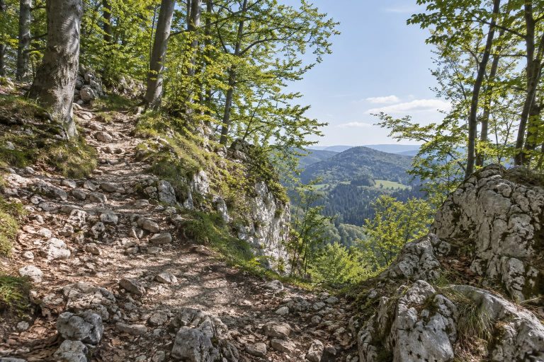 Wapienna ścieżka i pieniński krajobraz — ilustracja górskiej wycieczki