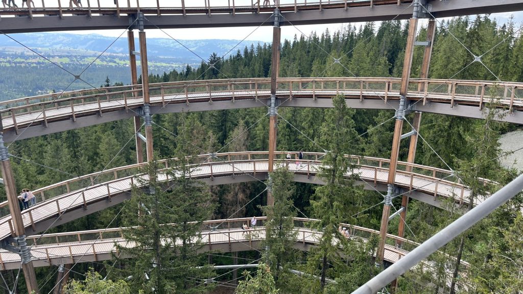 The wooden levels of Sky Walk Serce Poronina above a spruce forest