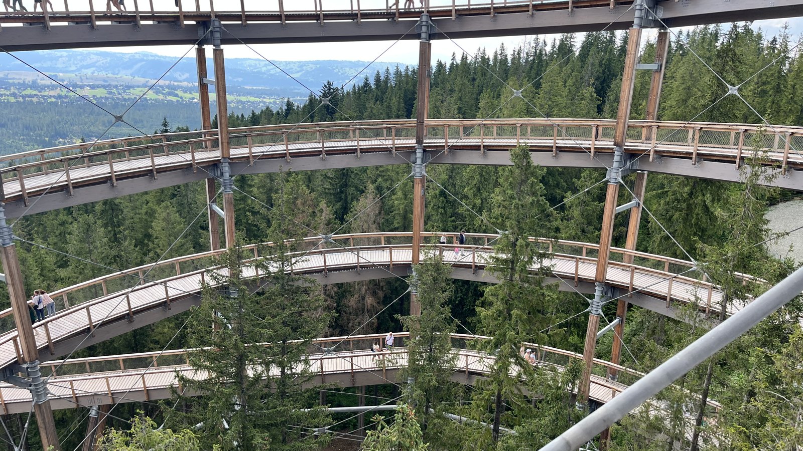 The wooden levels of Sky Walk Serce Poronina above a spruce forest